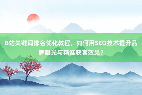B站关键词排名优化教程，如何用SEO技术提升品牌曝光与精准获客效果？