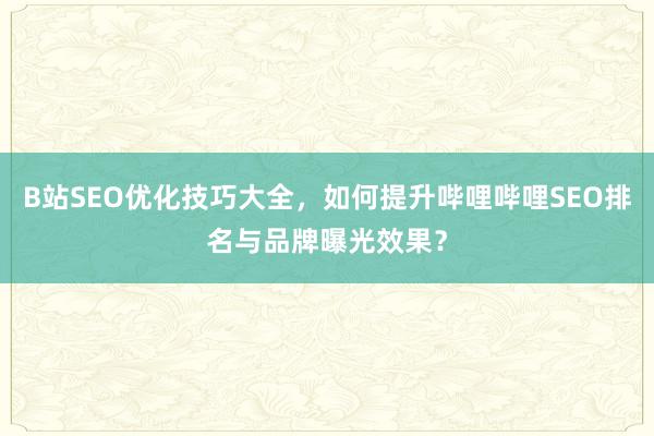 B站SEO优化技巧大全，如何提升哔哩哔哩SEO排名与品牌曝光效果？