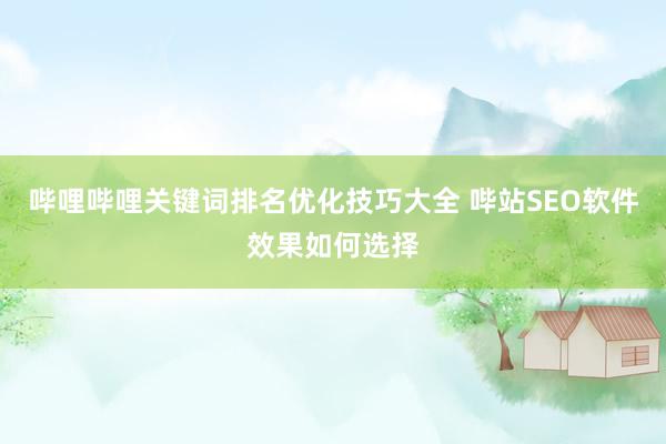 哔哩哔哩关键词排名优化技巧大全 哔站SEO软件效果如何选择