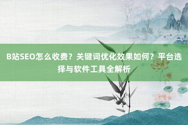 B站SEO怎么收费？关键词优化效果如何？平台选择与软件工具全解析