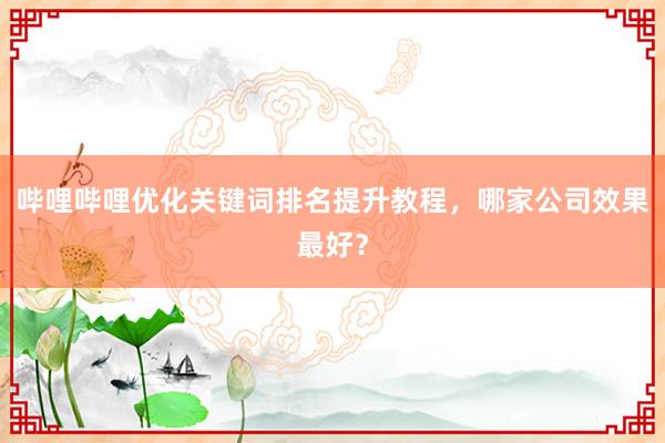 哔哩哔哩优化关键词排名提升教程，哪家公司效果最好？