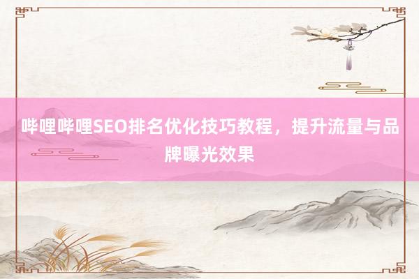 哔哩哔哩SEO排名优化技巧教程，提升流量与品牌曝光效果