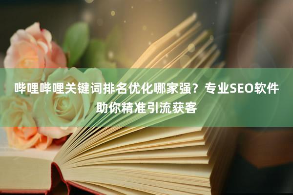 哔哩哔哩关键词排名优化哪家强？专业SEO软件助你精准引流获客