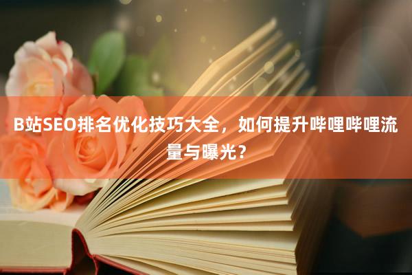 B站SEO排名优化技巧大全，如何提升哔哩哔哩流量与曝光？