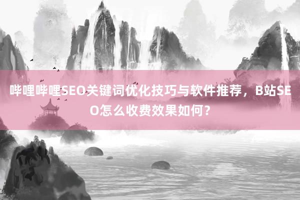 哔哩哔哩SEO关键词优化技巧与软件推荐，B站SEO怎么收费效果如何？