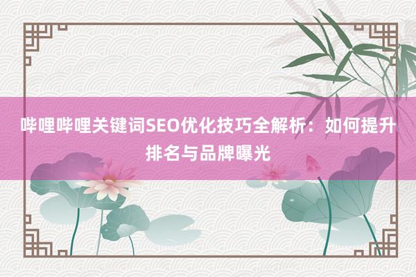 哔哩哔哩关键词SEO优化技巧全解析：如何提升排名与品牌曝光