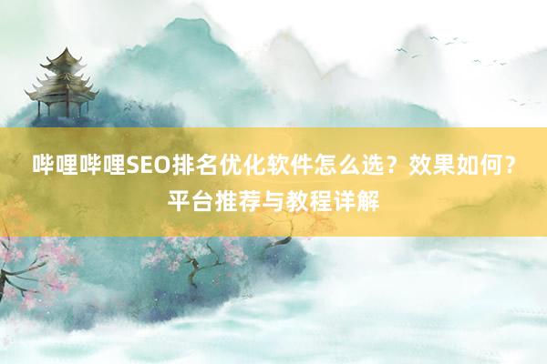 哔哩哔哩SEO排名优化软件怎么选？效果如何？平台推荐与教程详解