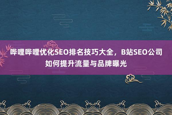 哔哩哔哩优化SEO排名技巧大全，B站SEO公司如何提升流量与品牌曝光