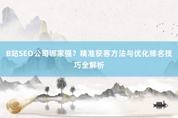 B站SEO公司哪家强？精准获客方法与优化排名技巧全解析
