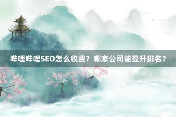 哔哩哔哩SEO怎么收费？哪家公司能提升排名？