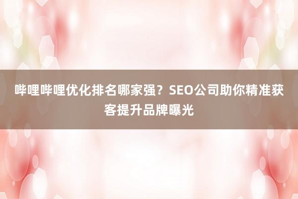 哔哩哔哩优化排名哪家强？SEO公司助你精准获客提升品牌曝光