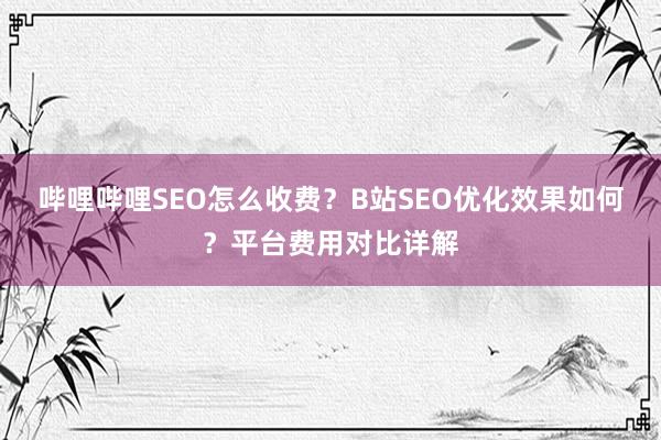 哔哩哔哩SEO怎么收费？B站SEO优化效果如何？平台费用对比详解