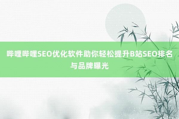 哔哩哔哩SEO优化软件助你轻松提升B站SEO排名与品牌曝光