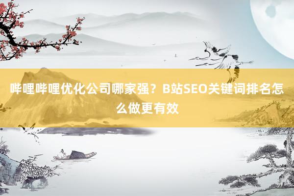 哔哩哔哩优化公司哪家强？B站SEO关键词排名怎么做更有效
