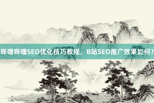 哔哩哔哩SEO优化技巧教程，B站SEO推广效果如何？
