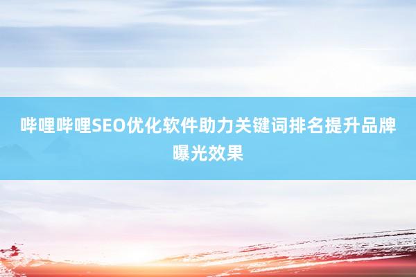 哔哩哔哩SEO优化软件助力关键词排名提升品牌曝光效果