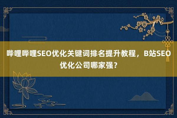 哔哩哔哩SEO优化关键词排名提升教程，B站SEO优化公司哪家强？
