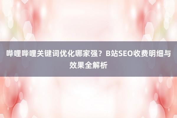 哔哩哔哩关键词优化哪家强？B站SEO收费明细与效果全解析