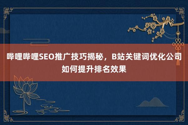 哔哩哔哩SEO推广技巧揭秘，B站关键词优化公司如何提升排名效果