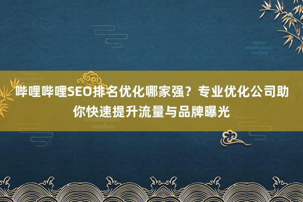 哔哩哔哩SEO排名优化哪家强？专业优化公司助你快速提升流量与品牌曝光