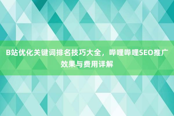 B站优化关键词排名技巧大全，哔哩哔哩SEO推广效果与费用详解
