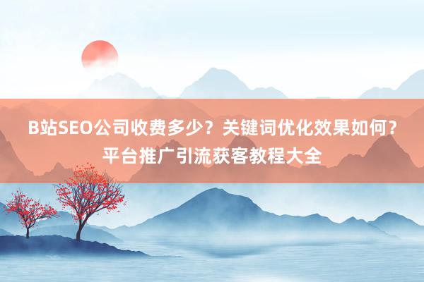 B站SEO公司收费多少？关键词优化效果如何？平台推广引流获客教程大全