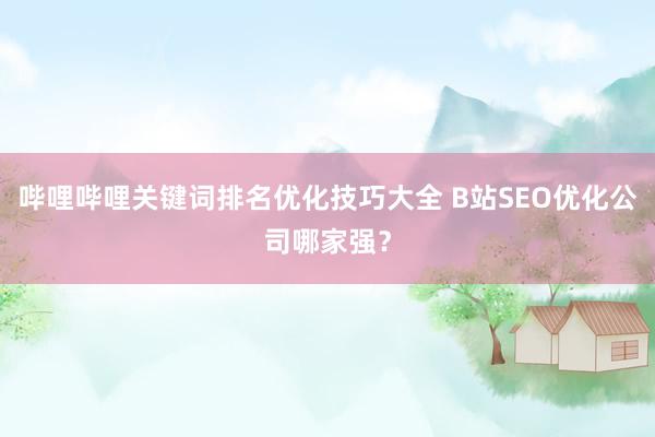 哔哩哔哩关键词排名优化技巧大全 B站SEO优化公司哪家强？
