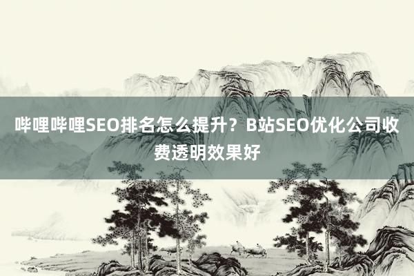 哔哩哔哩SEO排名怎么提升？B站SEO优化公司收费透明效果好