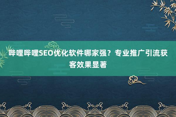 哔哩哔哩SEO优化软件哪家强？专业推广引流获客效果显著