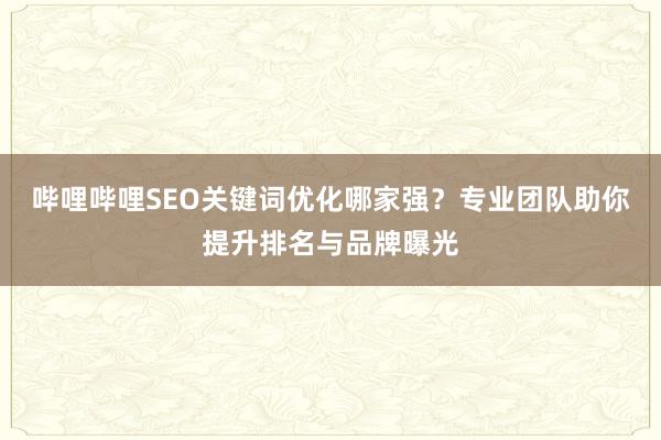 哔哩哔哩SEO关键词优化哪家强？专业团队助你提升排名与品牌曝光