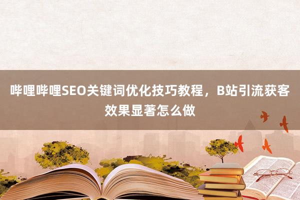 哔哩哔哩SEO关键词优化技巧教程，B站引流获客效果显著怎么做