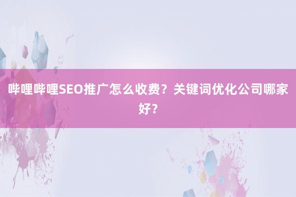 哔哩哔哩SEO推广怎么收费？关键词优化公司哪家好？