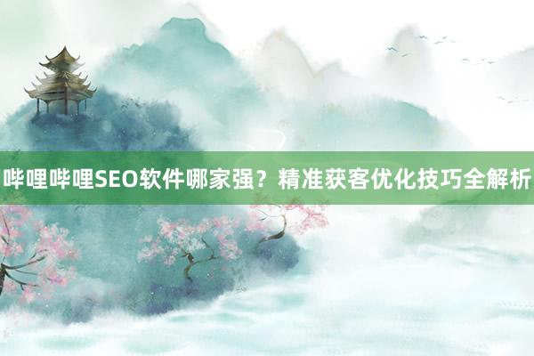 哔哩哔哩SEO软件哪家强？精准获客优化技巧全解析