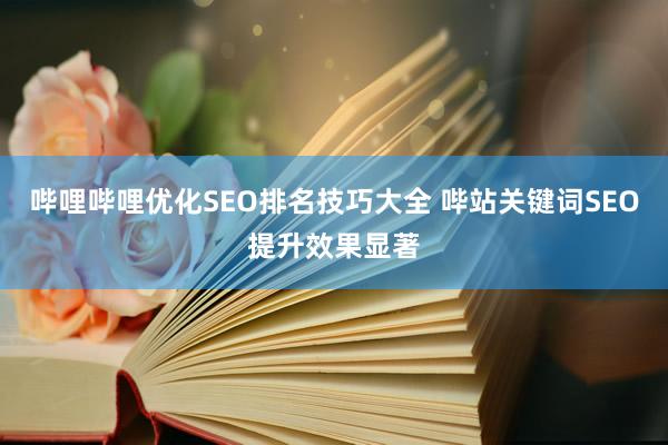 哔哩哔哩优化SEO排名技巧大全 哔站关键词SEO提升效果显著