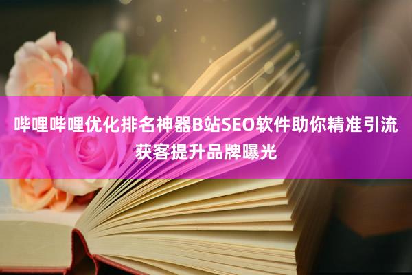 哔哩哔哩优化排名神器B站SEO软件助你精准引流获客提升品牌曝光