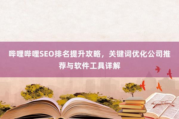 哔哩哔哩SEO排名提升攻略，关键词优化公司推荐与软件工具详解