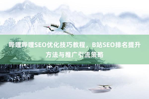 哔哩哔哩SEO优化技巧教程，B站SEO排名提升方法与推广引流策略