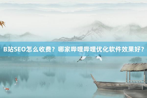 B站SEO怎么收费？哪家哔哩哔哩优化软件效果好？