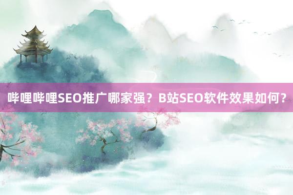 哔哩哔哩SEO推广哪家强？B站SEO软件效果如何？