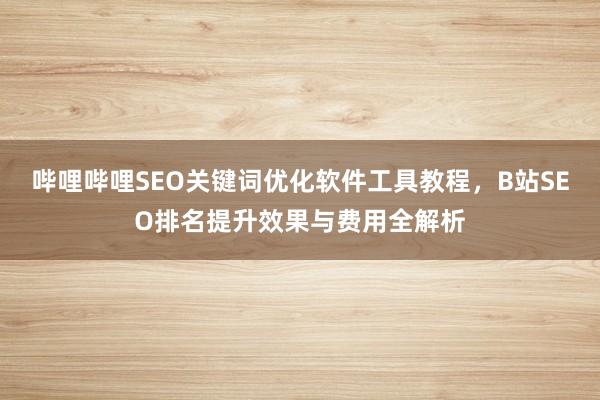 哔哩哔哩SEO关键词优化软件工具教程，B站SEO排名提升效果与费用全解析