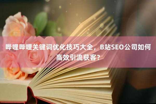 哔哩哔哩关键词优化技巧大全，B站SEO公司如何高效引流获客？