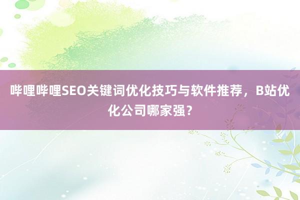 哔哩哔哩SEO关键词优化技巧与软件推荐，B站优化公司哪家强？