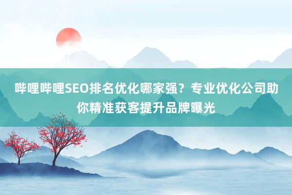 哔哩哔哩SEO排名优化哪家强？专业优化公司助你精准获客提升品牌曝光
