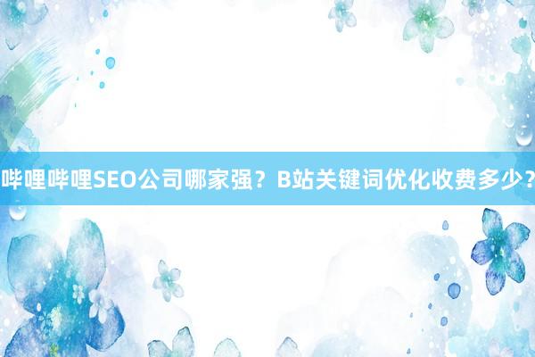 哔哩哔哩SEO公司哪家强？B站关键词优化收费多少？