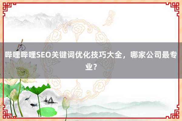 哔哩哔哩SEO关键词优化技巧大全，哪家公司最专业？