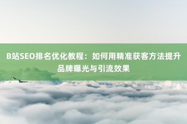 B站SEO排名优化教程：如何用精准获客方法提升品牌曝光与引流效果