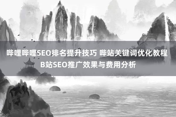哔哩哔哩SEO排名提升技巧 哔站关键词优化教程 B站SEO推广效果与费用分析