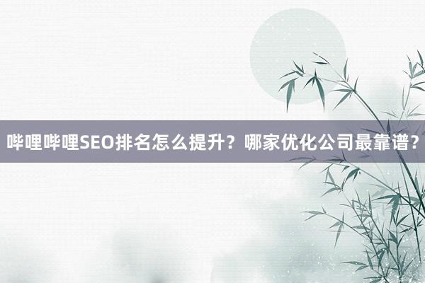 哔哩哔哩SEO排名怎么提升？哪家优化公司最靠谱？