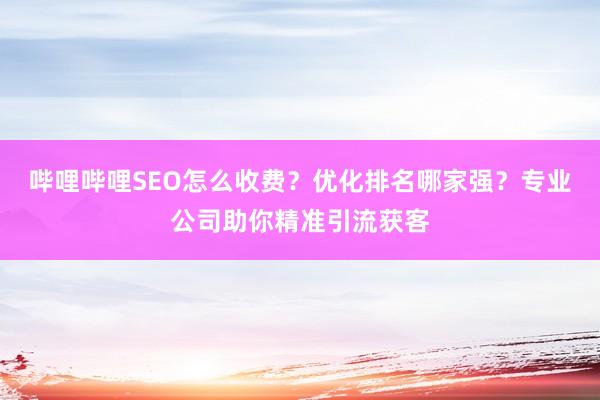 哔哩哔哩SEO怎么收费？优化排名哪家强？专业公司助你精准引流获客