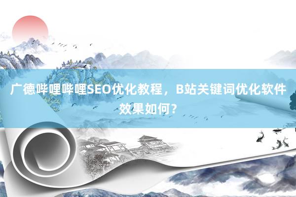 广德哔哩哔哩SEO优化教程，B站关键词优化软件效果如何？